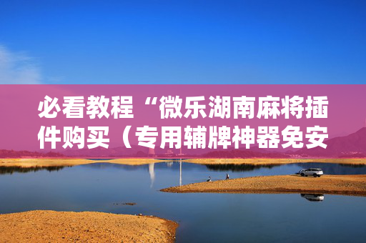 必看教程“微乐湖南麻将插件购买（专用辅牌神器免安装）