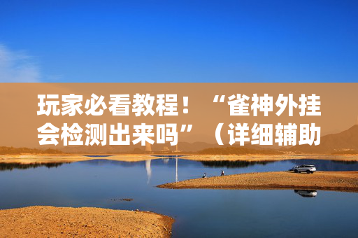 玩家必看教程！“雀神外挂会检测出来吗”（详细辅助教程）-哔哩哔哩