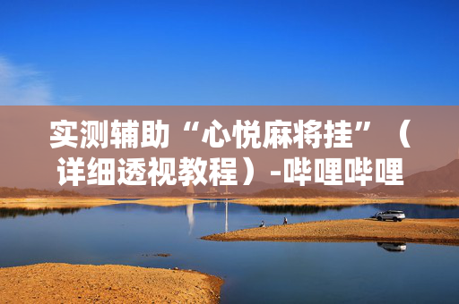 实测辅助“心悦麻将挂”（详细透视教程）-哔哩哔哩