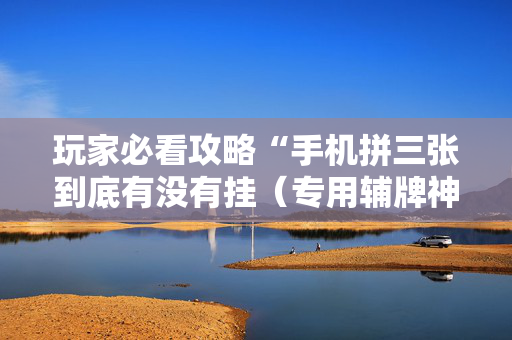 玩家必看攻略“手机拼三张到底有没有挂（专用辅牌神器免安装）