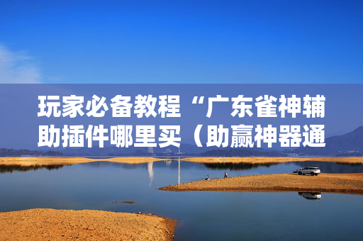 玩家必备教程“广东雀神辅助插件哪里买（助赢神器通用版）