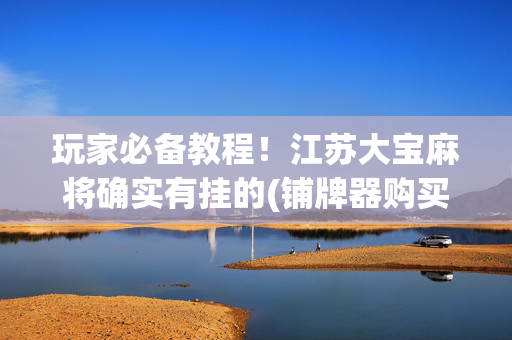 玩家必备教程！江苏大宝麻将确实有挂的(铺牌器购买)