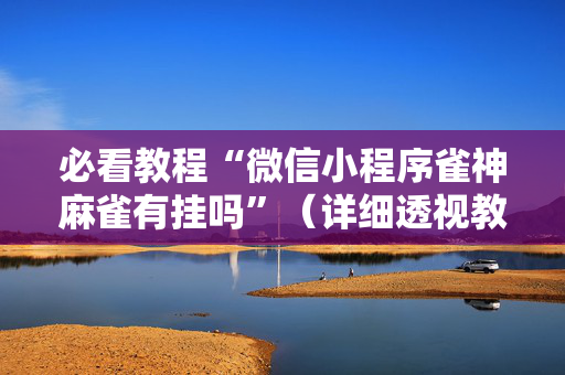 必看教程“微信小程序雀神麻雀有挂吗”（详细透视教程）-哔哩哔哩