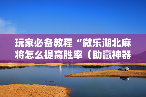 玩家必备教程“微乐湖北麻将怎么提高胜率（助赢神器通用版）