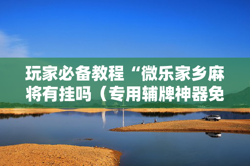 玩家必备教程“微乐家乡麻将有挂吗（专用辅牌神器免安装）