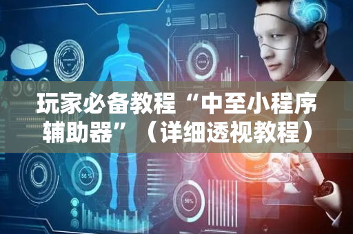 玩家必备教程“中至小程序辅助器”（详细透视教程）-哔哩哔哩