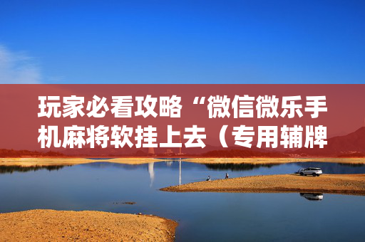 玩家必看攻略“微信微乐手机麻将软挂上去（专用辅牌神器免安装）