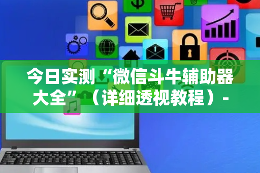 今日实测“微信斗牛辅助器大全”（详细透视教程）-哔哩哔哩
