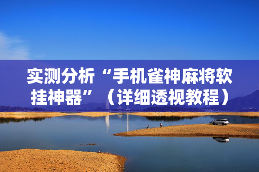 实测分析“手机雀神麻将软挂神器”（详细透视教程）-哔哩哔哩