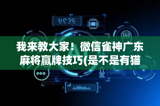 我来教大家！微信雀神广东麻将赢牌技巧(是不是有猫腻)