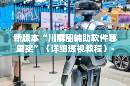 新版本“川麻圈辅助软件哪里买”（详细透视教程）-哔哩哔哩