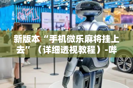 新版本“手机微乐麻将挂上去”（详细透视教程）-哔哩哔哩