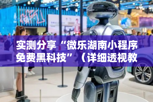 实测分享“微乐湖南小程序免费黑科技”（详细透视教程）-哔哩哔哩