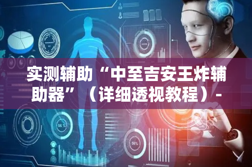 实测辅助“中至吉安王炸辅助器”（详细透视教程）-哔哩哔哩