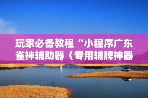 玩家必备教程“小程序广东雀神辅助器（专用辅牌神器免安装）