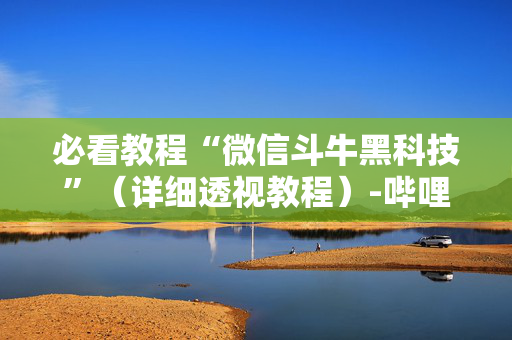 必看教程“微信斗牛黑科技”（详细透视教程）-哔哩哔哩