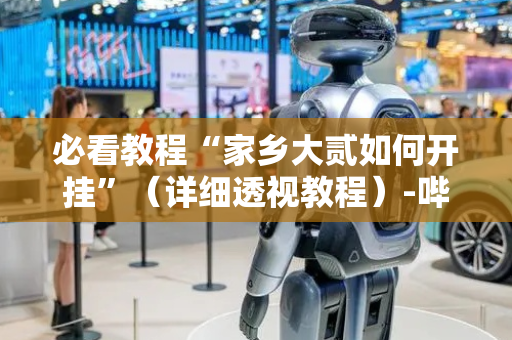 必看教程“家乡大贰如何开挂”（详细透视教程）-哔哩哔哩