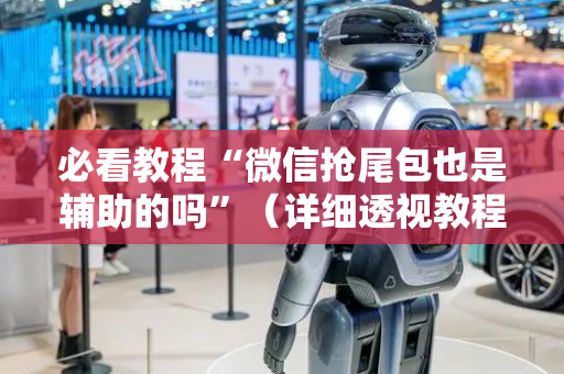 必看教程“微信抢尾包也是辅助的吗”（详细透视教程）-哔哩哔哩