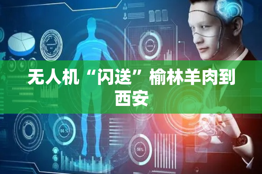 无人机“闪送”榆林羊肉到西安