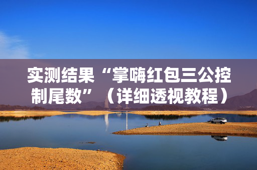 实测结果“掌嗨红包三公控制尾数”（详细透视教程）-哔哩哔哩