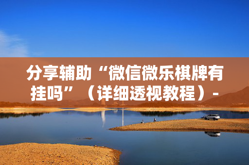 分享辅助“微信微乐棋牌有挂吗”（详细透视教程）-哔哩哔哩