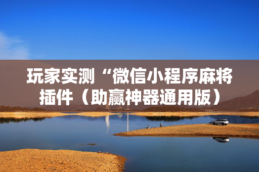 玩家实测“微信小程序麻将插件（助赢神器通用版）
