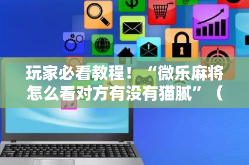 玩家必看教程！“微乐麻将怎么看对方有没有猫腻”（详细开挂教程）-哔哩哔哩