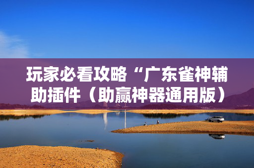 玩家必看攻略“广东雀神辅助插件（助赢神器通用版）