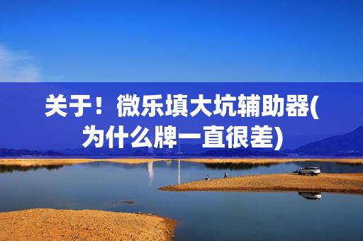 关于！微乐填大坑辅助器(为什么牌一直很差)