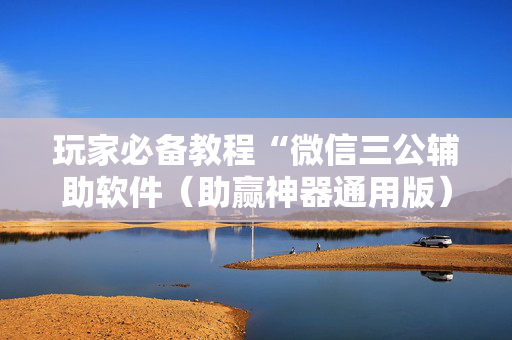 玩家必备教程“微信三公辅助软件（助赢神器通用版）