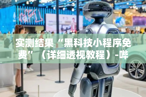 实测结果“黑科技小程序免费”（详细透视教程）-哔哩哔哩