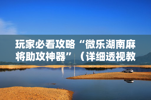 玩家必看攻略“微乐湖南麻将助攻神器”（详细透视教程）-哔哩哔哩
