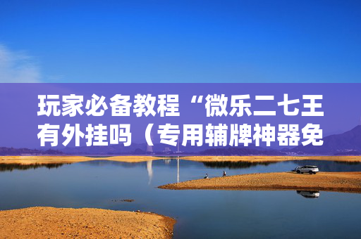 玩家必备教程“微乐二七王有外挂吗（专用辅牌神器免安装）