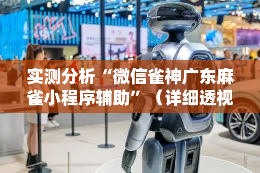 实测分析“微信雀神广东麻雀小程序辅助”（详细透视教程）-哔哩哔哩