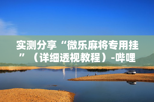 实测分享“微乐麻将专用挂”（详细透视教程）-哔哩哔哩