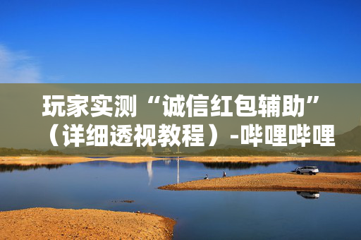 玩家实测“诚信红包辅助”（详细透视教程）-哔哩哔哩