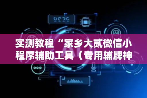 实测教程“家乡大贰微信小程序辅助工具（专用辅牌神器免安装）