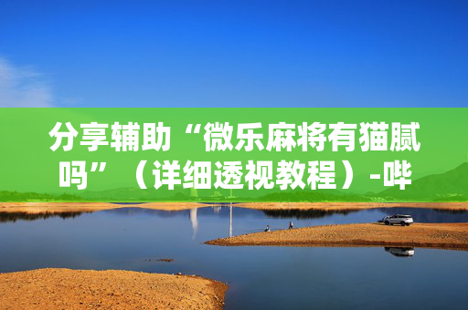 分享辅助“微乐麻将有猫腻吗”（详细透视教程）-哔哩哔哩