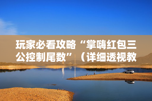 玩家必看攻略“掌嗨红包三公控制尾数”（详细透视教程）-哔哩哔哩