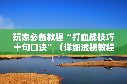 玩家必备教程“打血战技巧十句口诀”（详细透视教程）-哔哩哔哩