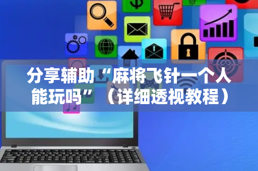 分享辅助“麻将飞针一个人能玩吗”（详细透视教程）-哔哩哔哩