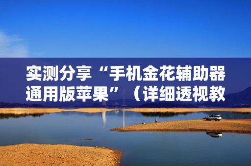 实测分享“手机金花辅助器通用版苹果”（详细透视教程）-哔哩哔哩