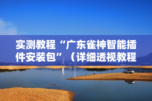 实测教程“广东雀神智能插件安装包”（详细透视教程）-哔哩哔哩