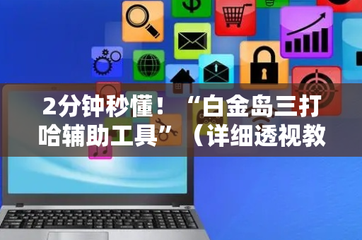 2分钟秒懂！“白金岛三打哈辅助工具”（详细透视教程）-哔哩哔哩