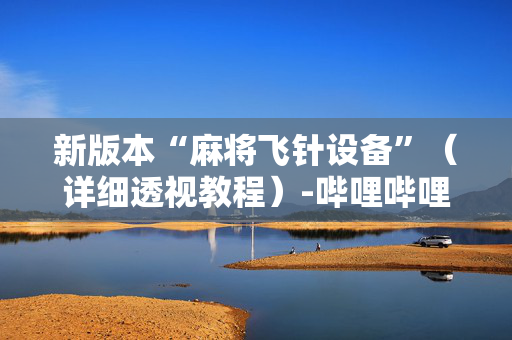 新版本“麻将飞针设备”（详细透视教程）-哔哩哔哩
