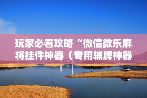 玩家必看攻略“微信微乐麻将挂件神器（专用辅牌神器免安装）