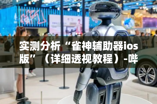 实测分析“雀神辅助器ios版”（详细透视教程）-哔哩哔哩