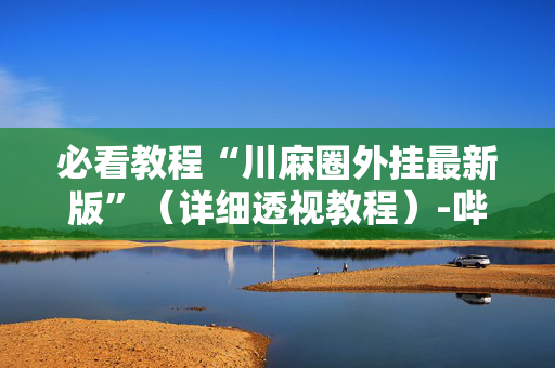 必看教程“川麻圈外挂最新版”（详细透视教程）-哔哩哔哩