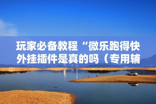玩家必备教程“微乐跑得快外挂插件是真的吗（专用辅牌神器免安装）