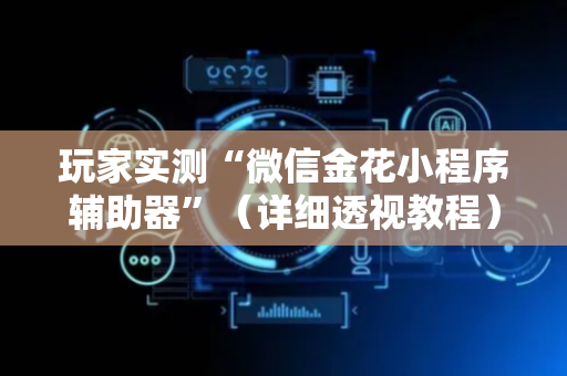 玩家实测“微信金花小程序辅助器”（详细透视教程）-哔哩哔哩